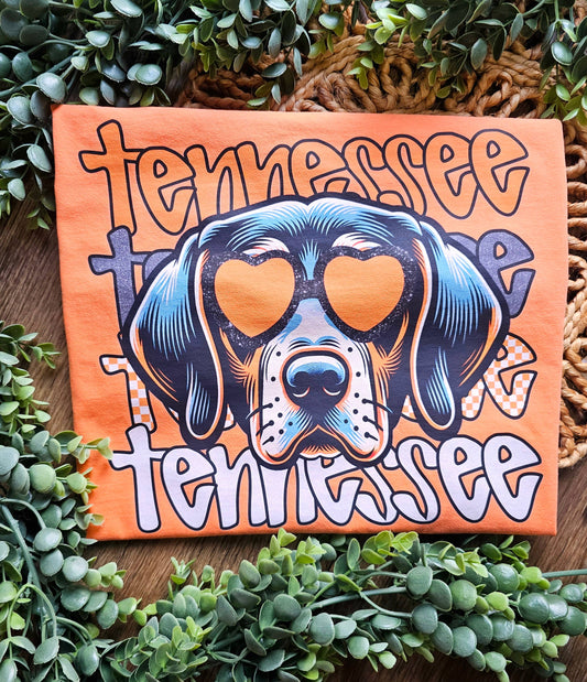 Tennessee Vols Mascot Comfort Colors Tee Spirit Tee